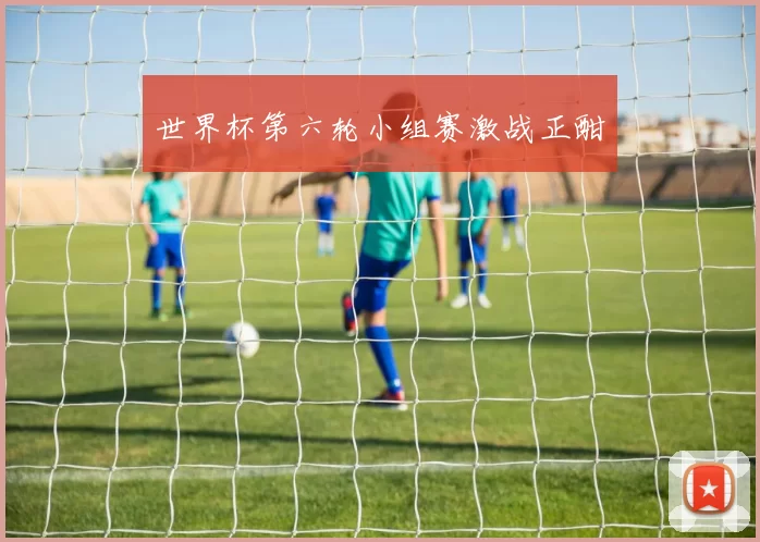 世界杯第六轮小组赛激战正酣