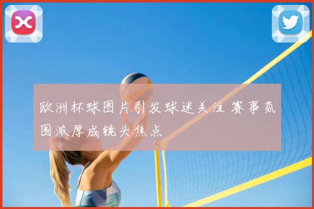 欧洲杯球图片引发球迷关注 赛事氛围浓厚成镜头焦点