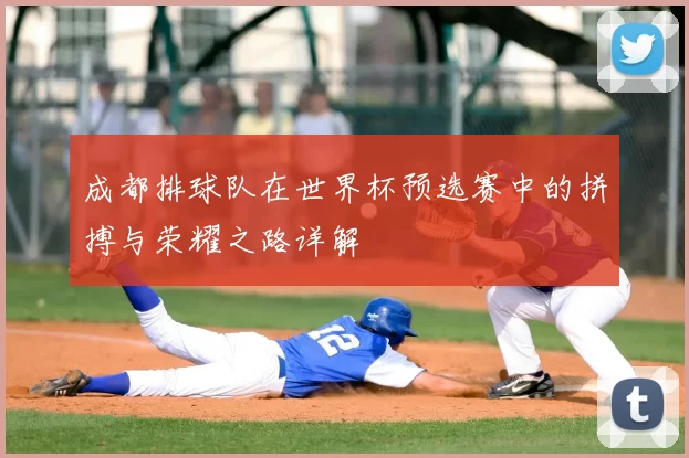 成都排球队在世界杯预选赛中的拼搏与荣耀之路详解
