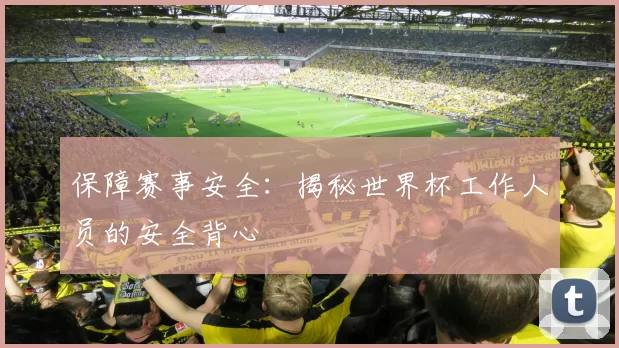 保障赛事安全：揭秘世界杯工作人员的安全背心