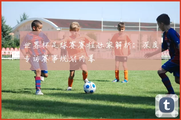 世界杯足球赛赛程独家解析:深度专访赛事规划内幕