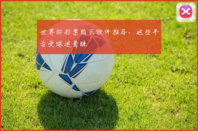 世界杯彩票购买软件推荐,这些平台受球迷青睐