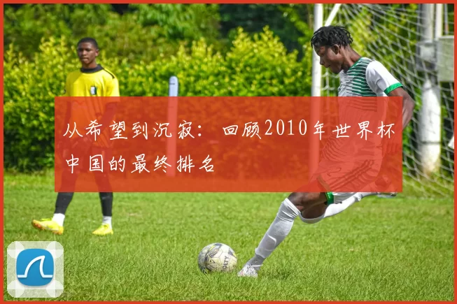 从希望到沉寂:回顾2010年世界杯中国的最终排名