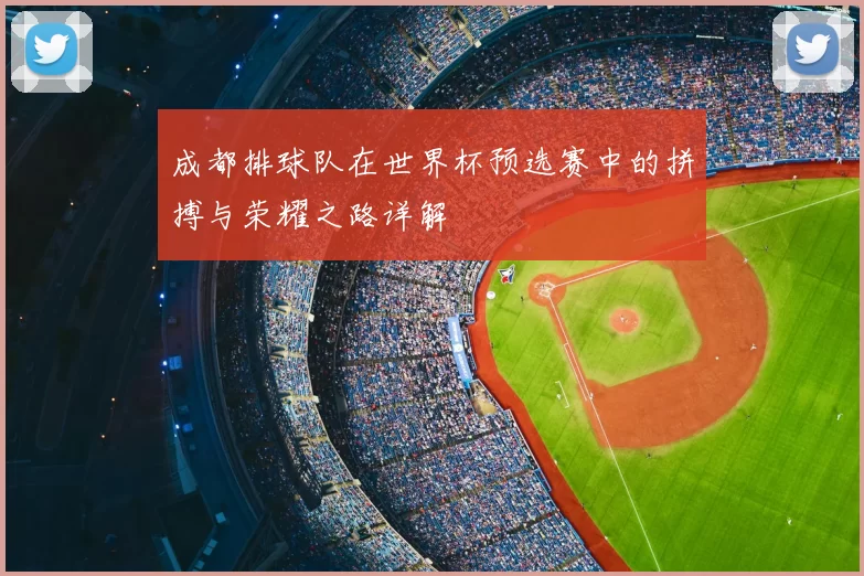 成都排球队在世界杯预选赛中的拼搏与荣耀之路详解