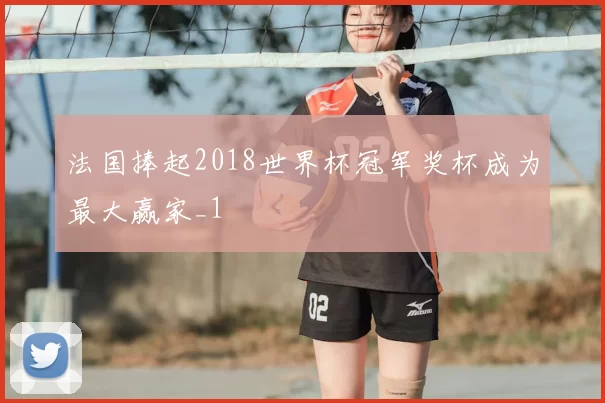 法国捧起2018世界杯冠军奖杯成为最大赢家_1