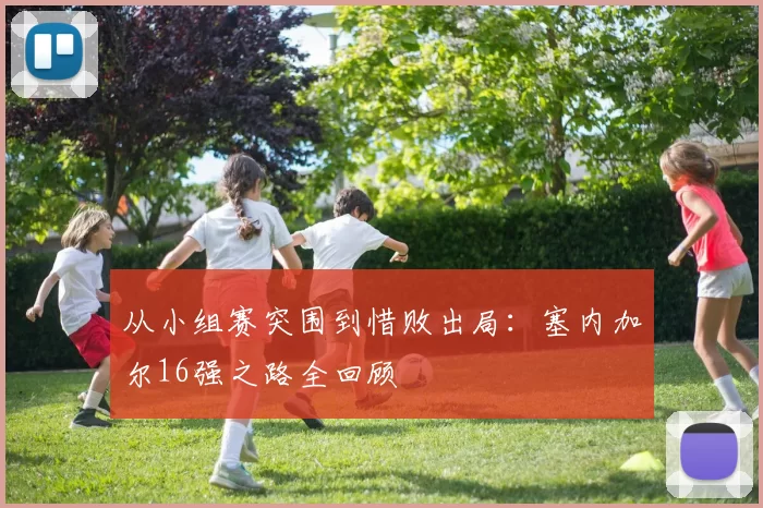 从小组赛突围到惜败出局:塞内加尔16强之路全回顾