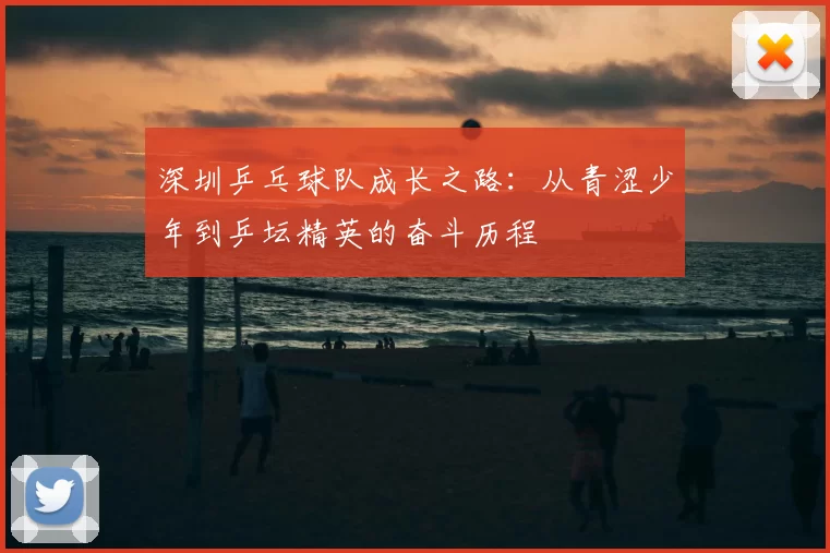 深圳乒乓球队成长之路：从青涩少年到乒坛精英的奋斗历程