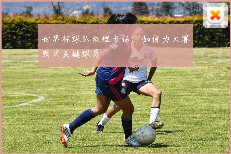 世界杯球队经理专访:如何为大赛购买关键球员