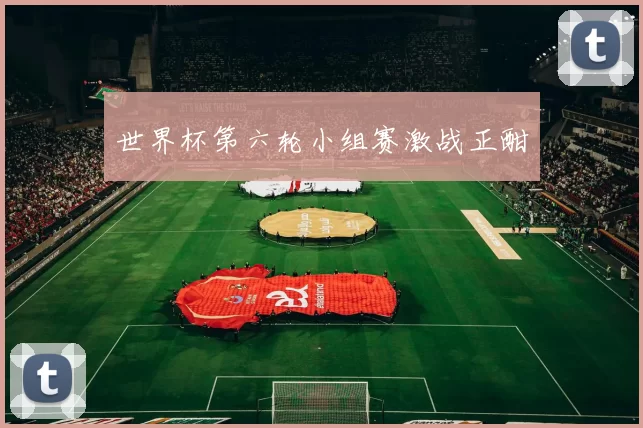 世界杯第六轮小组赛激战正酣