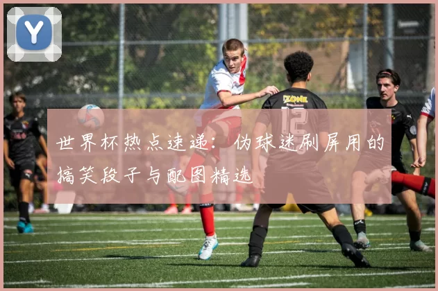 世界杯热点速递：伪球迷刷屏用的搞笑段子与配图精选