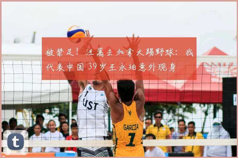 被禁足！汪嵩去加拿大踢野球：我代表中国 39岁王永珀意外现身