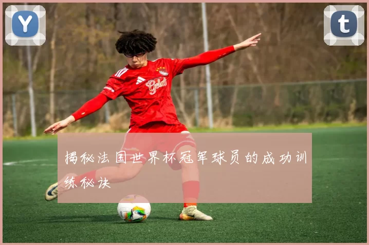 揭秘法国世界杯冠军球员的成功训练秘诀
